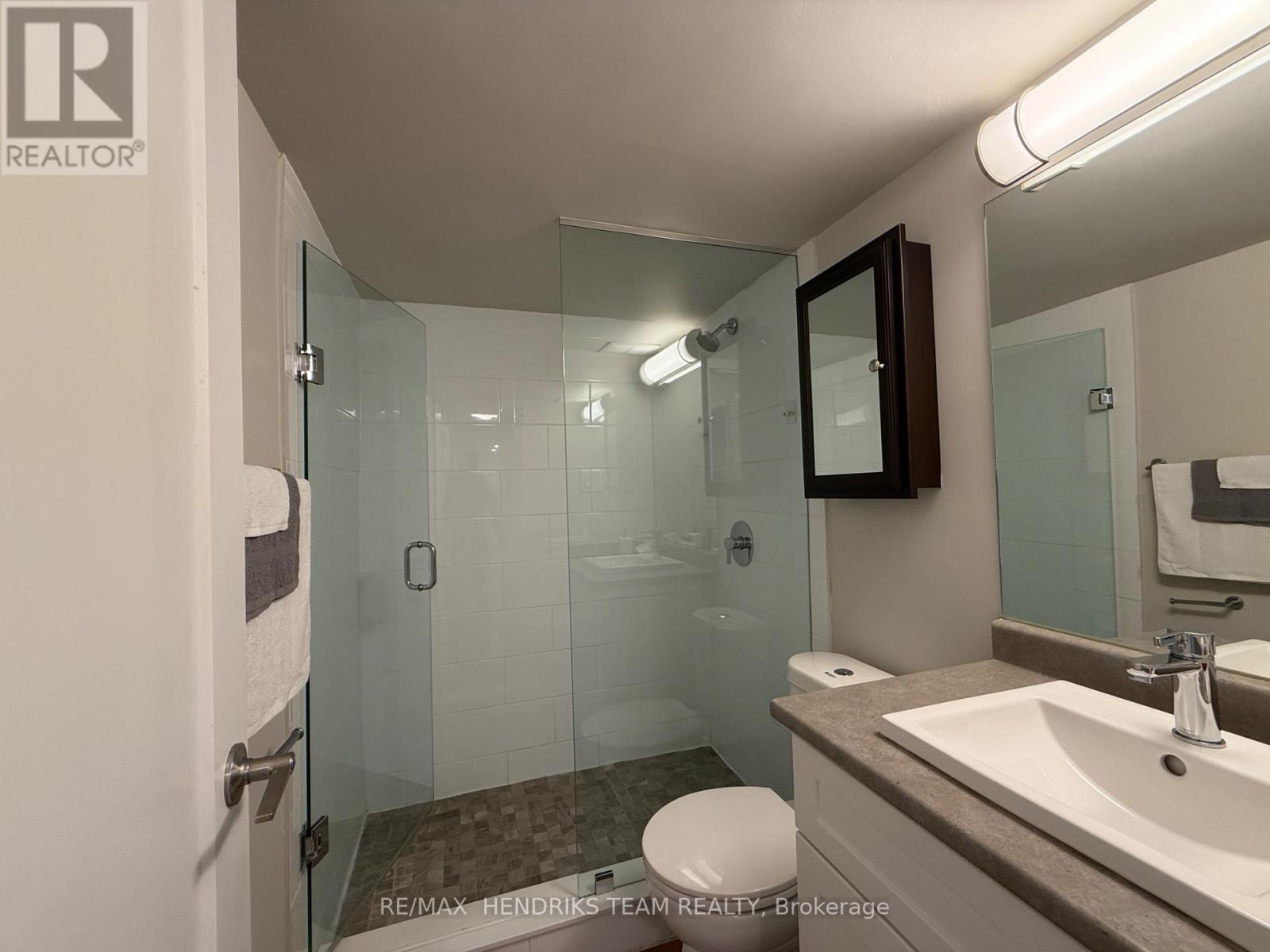 417 - 156 Fitch Street, Welland, Ontario  L3C 4V6 - Photo 12 - X13587494