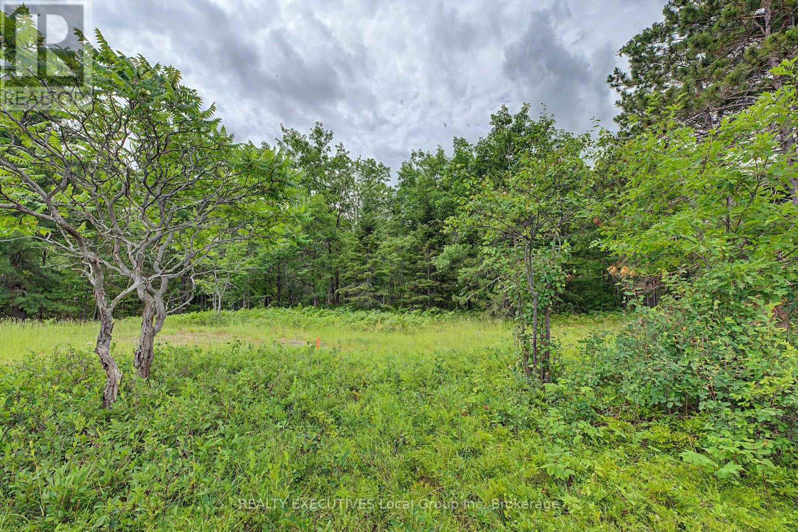 672 Tillicum Bay Road, Callander, Ontario  P0H 1H0 - Photo 11 - X13587592