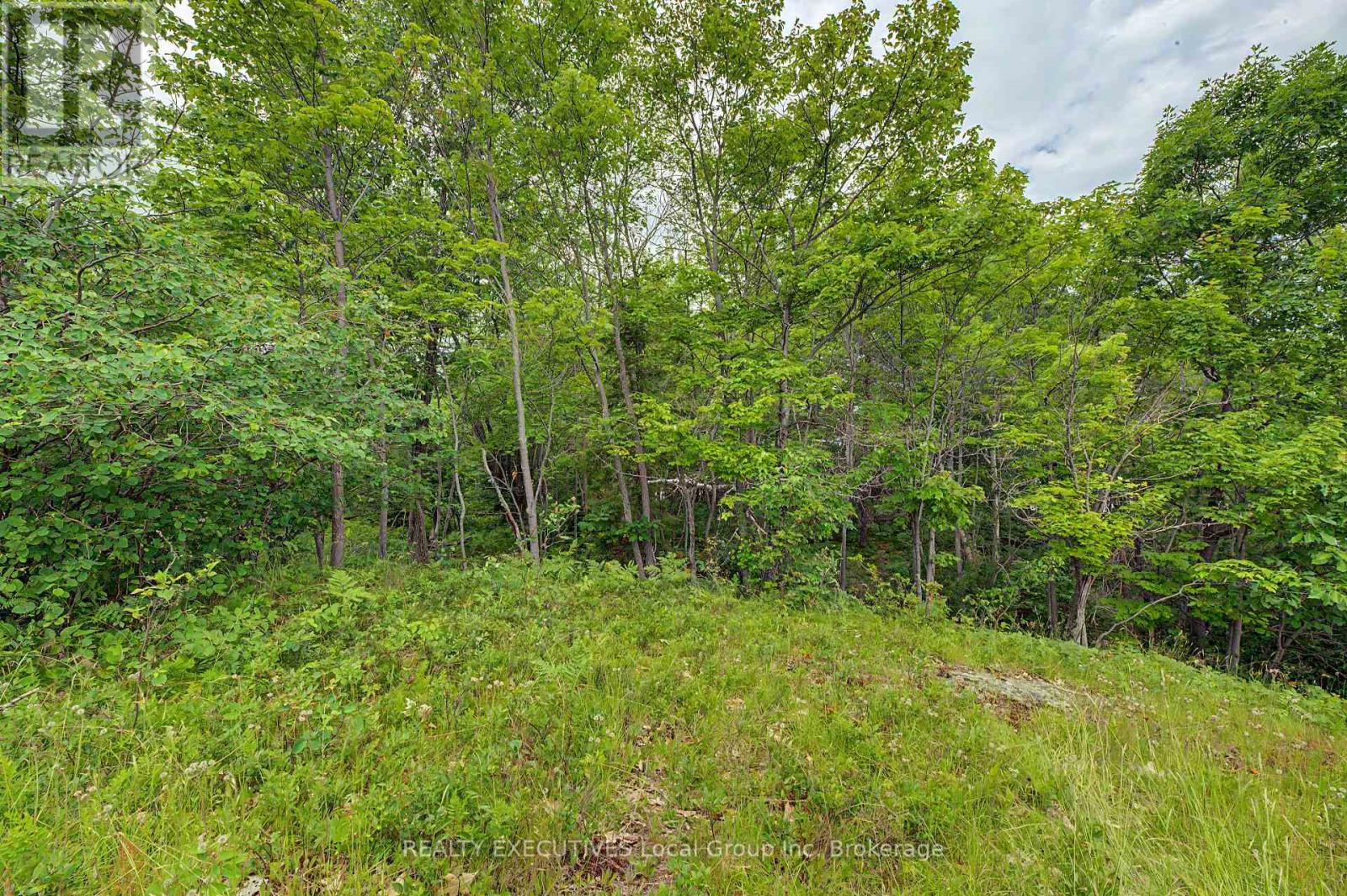 672 Tillicum Bay Road, Callander, Ontario  P0H 1H0 - Photo 14 - X13587592