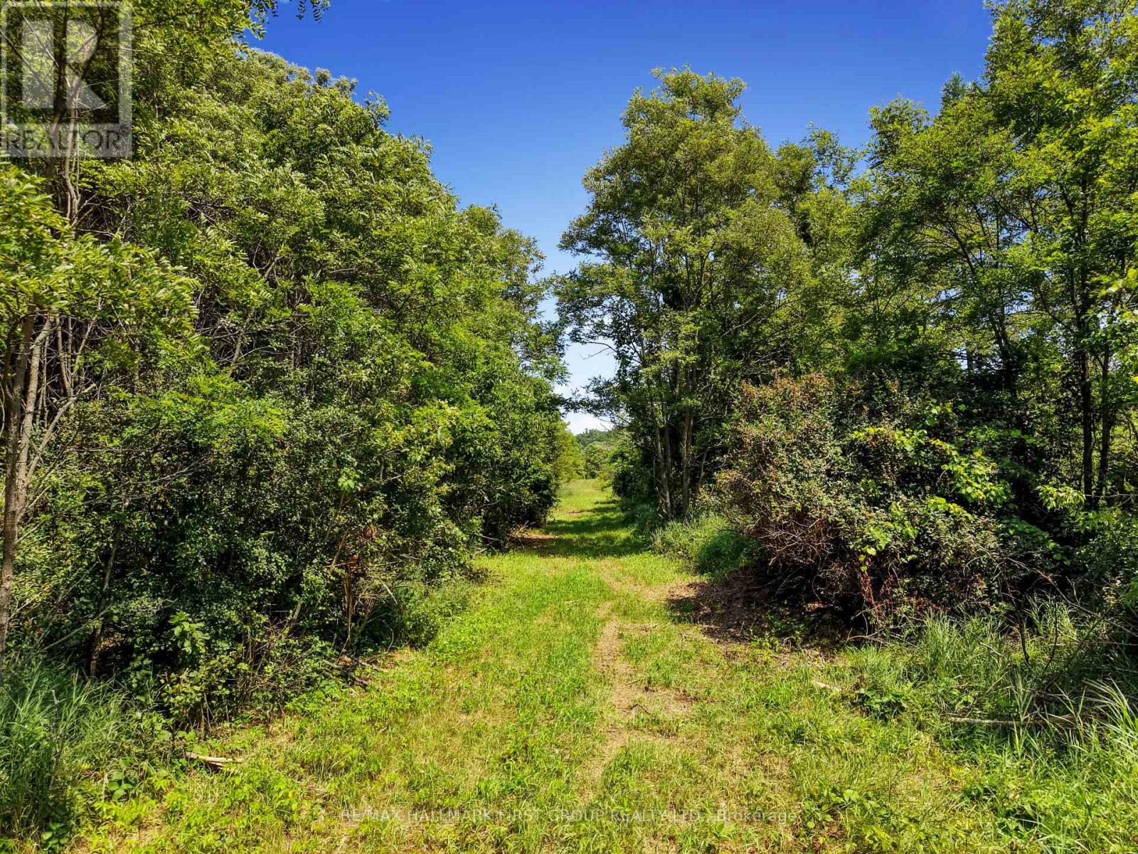 Land At 520 North Bethesda Road, Alnwick/haldimand, Ontario K0K 1C0 - Photo 10 - X13575900