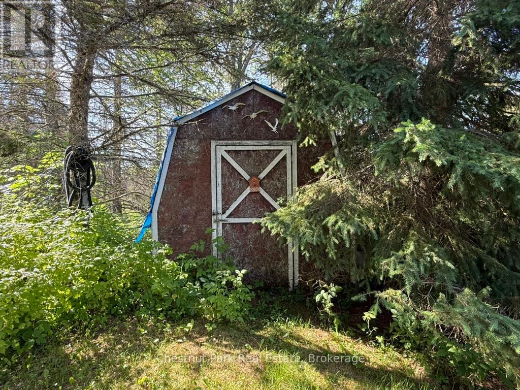 173 Midlothian Road, Ryerson, Ontario  P0A 1C0 - Photo 41 - X13587882