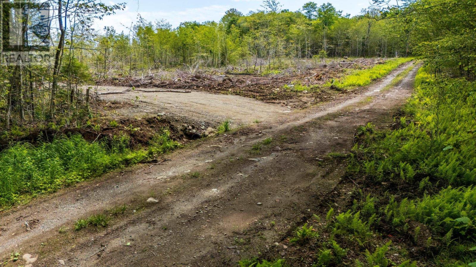 508 East Concession Road, Concession, Nova Scotia  B0W 1M0 - Photo 15 - 202618037