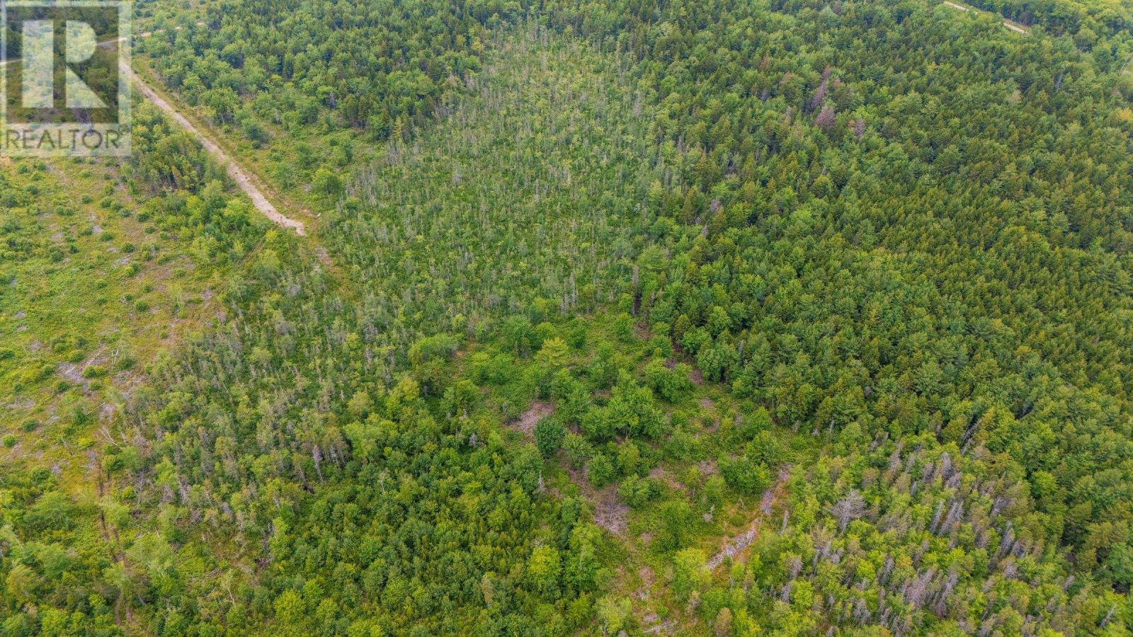 Lot East Concession Road, Lower Concession, Nova Scotia  B0W 1M0 - Photo 8 - 202618058