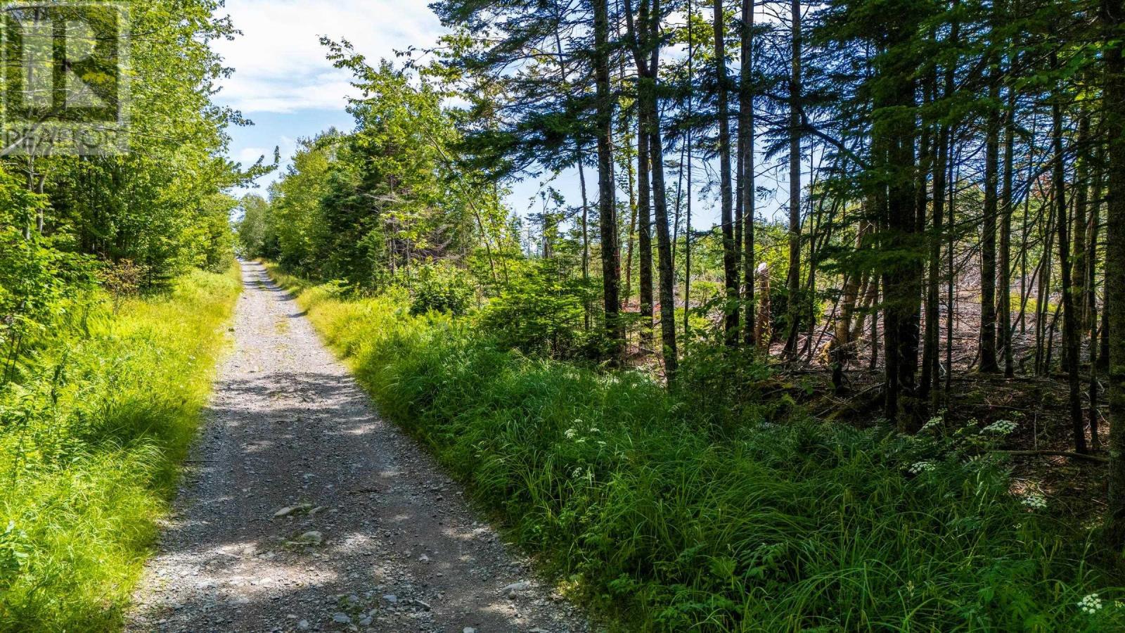 Lot Bonnenfant Road, Church Point Station, Nova Scotia  B0W 1M0 - Photo 3 - 202618060