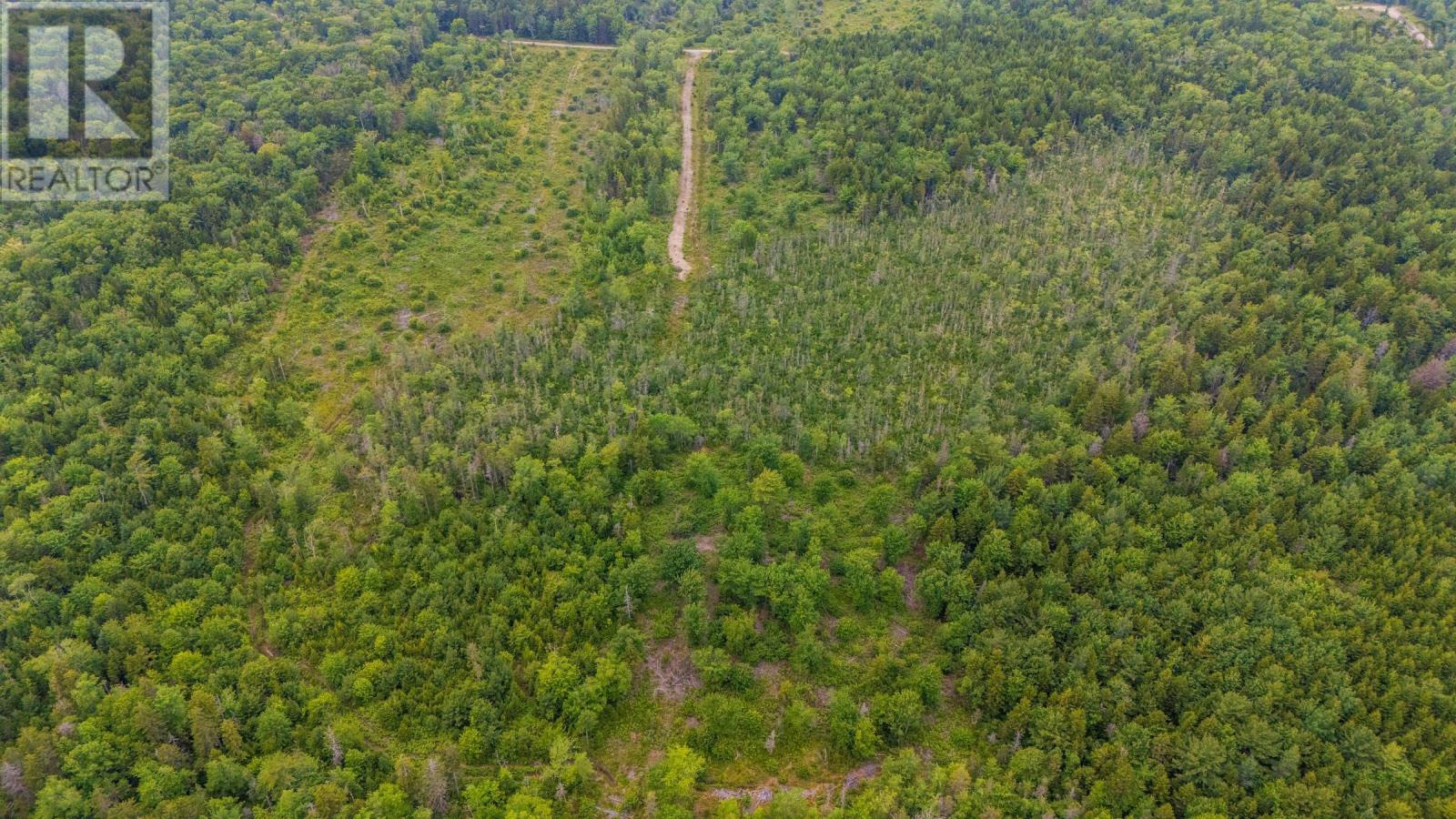 Lot East Concession Road, Lower Concession, Nova Scotia  B0W 1M0 - Photo 7 - 202618058