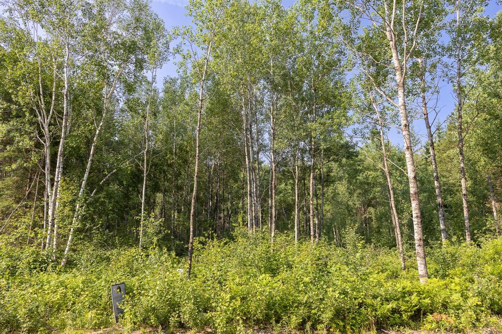 17 Jackpine Crescent, Woodridge, Manitoba  R0A 2N0 - Photo 2 - 202617112