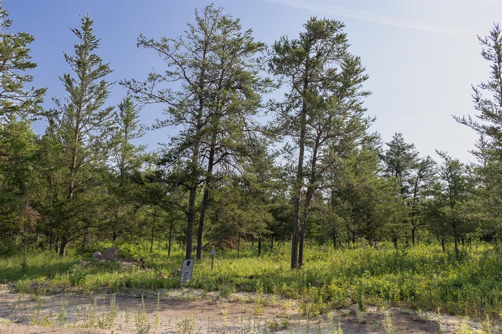 27 Jackpine Crescent, Woodridge, Manitoba  R0A 2N0 - Photo 2 - 202617139
