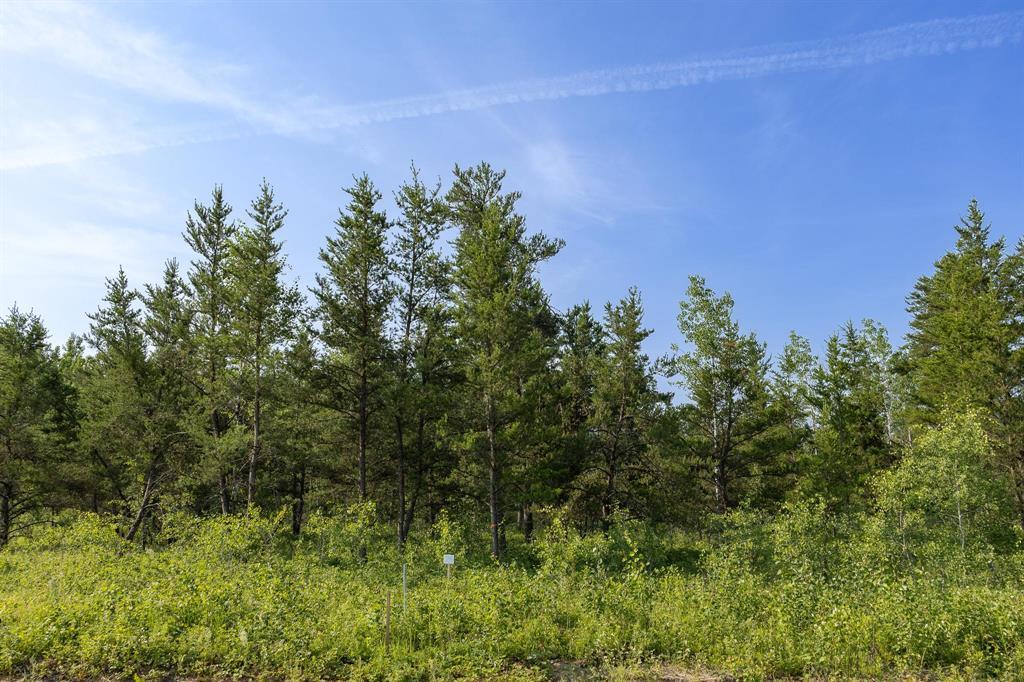 24 Jackpine Crescent, Woodridge, Manitoba  R0A 2N0 - Photo 2 - 202617138