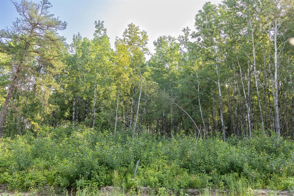 34 Jackpine Crescent, Woodridge, Manitoba  R0A 2N0 - Photo 2 - 202617143