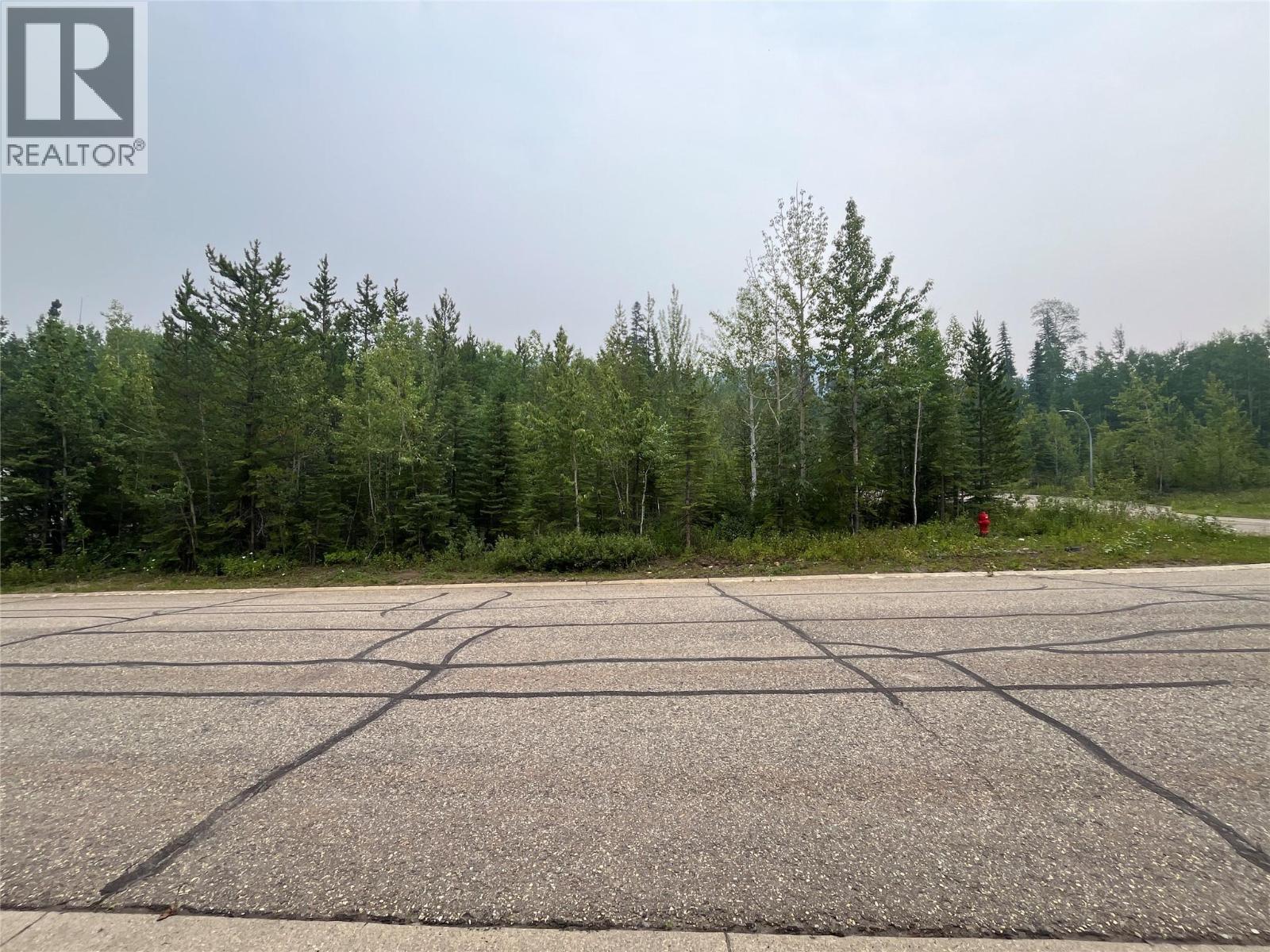 8 Wapiti Place, Tumbler Ridge, British Columbia V0C 2W0 - Photo 1 - 10395389