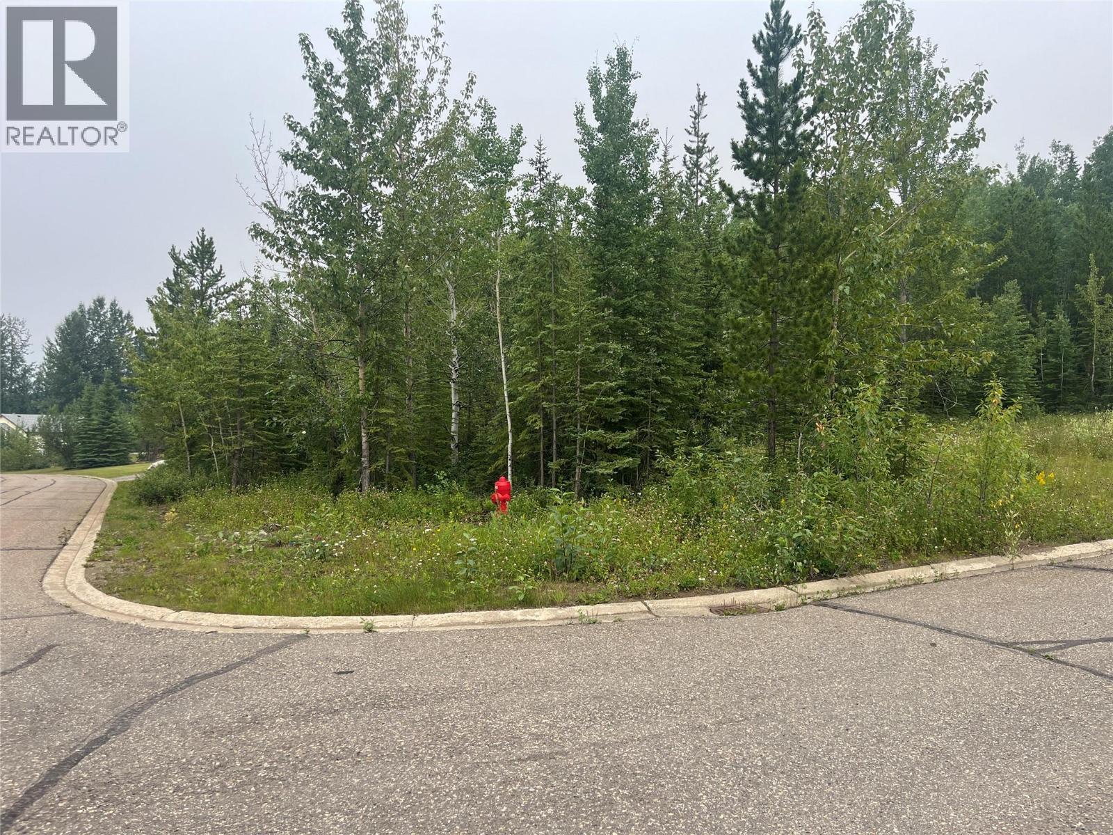 8 Wapiti Place, Tumbler Ridge, British Columbia V0C 2W0 - Photo 4 - 10395389