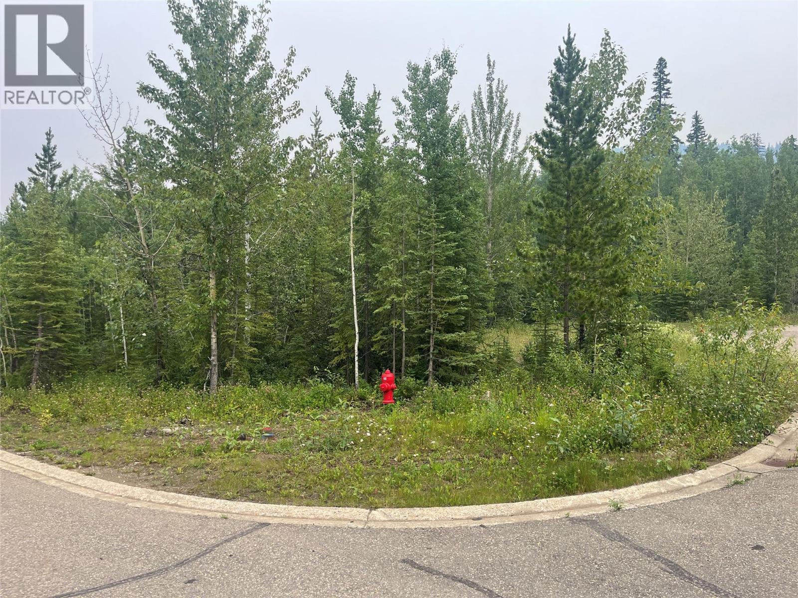 8 Wapiti Place, Tumbler Ridge, British Columbia V0C 2W0 - Photo 3 - 10395389
