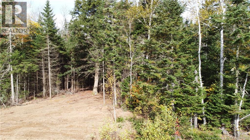 Lot 26-2 Glencoe Road, Nashwaak Bridge, New Brunswick  E6C 1T5 - Photo 12 - NB144481