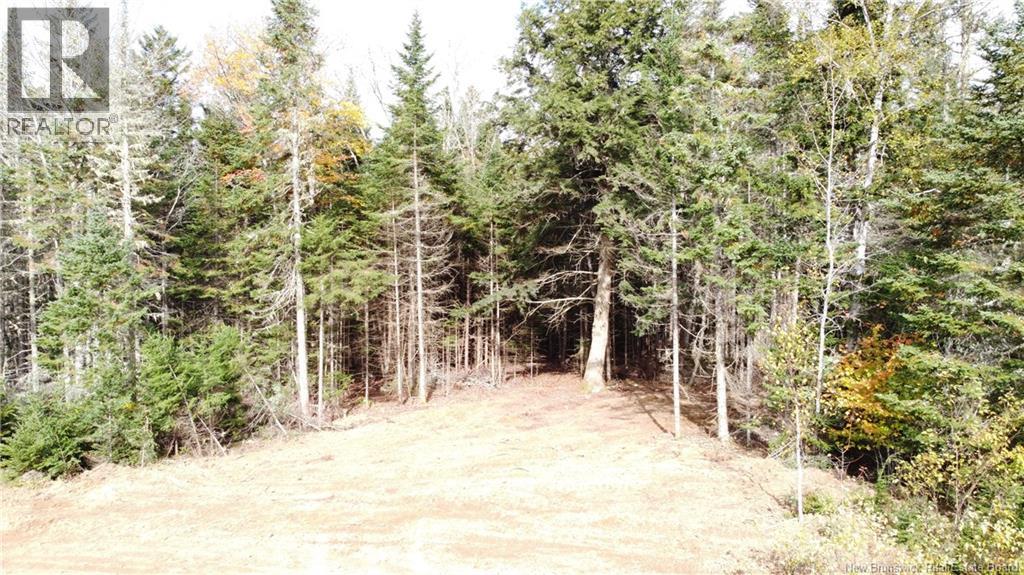 Lot 26-2 Glencoe Road, Nashwaak Bridge, New Brunswick  E6C 1T5 - Photo 13 - NB144481