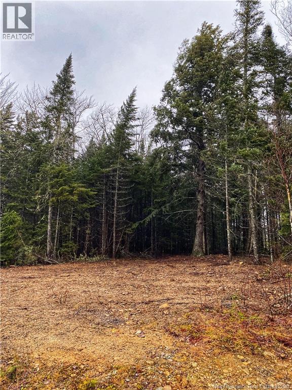 Lot 26-2 Glencoe Road, Nashwaak Bridge, New Brunswick  E6C 1T5 - Photo 7 - NB144481