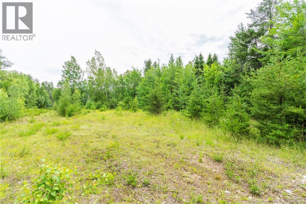 Lot 14-2 Niagara Road, Lower Coverdale, New Brunswick E1J 1H8 - Photo 15 - NB144191