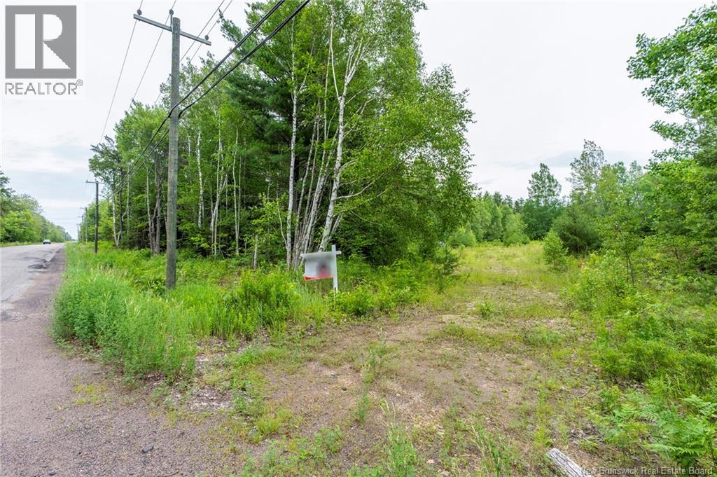 Lot 14-2 Niagara Road, Lower Coverdale, New Brunswick E1J 1H8 - Photo 13 - NB144191