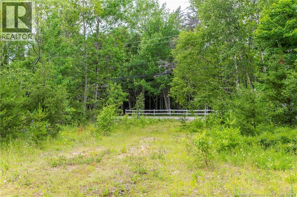 Lot 14-2 Niagara Road, Lower Coverdale, New Brunswick E1J 1H8 - Photo 17 - NB144191