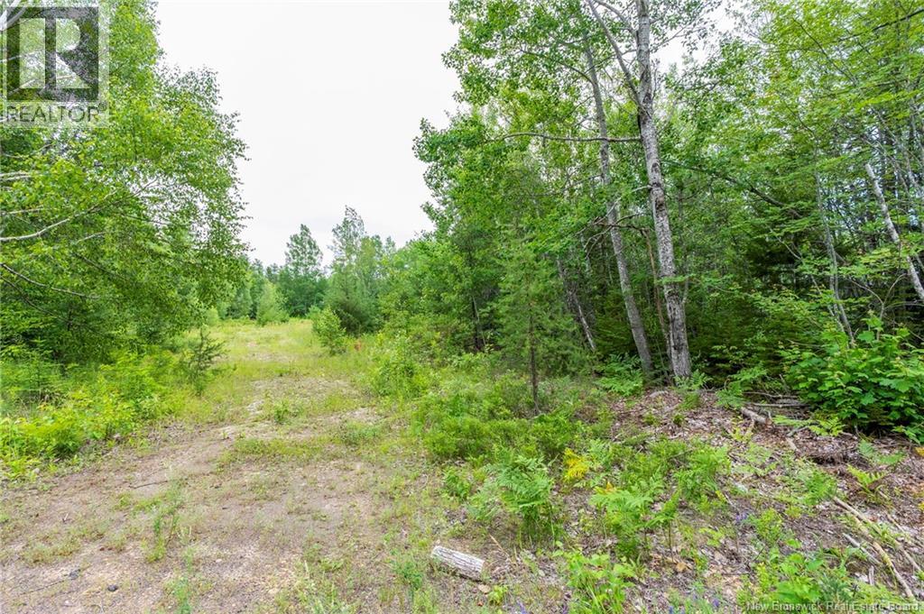 Lot 14-2 Niagara Road, Lower Coverdale, New Brunswick E1J 1H8 - Photo 2 - NB144191