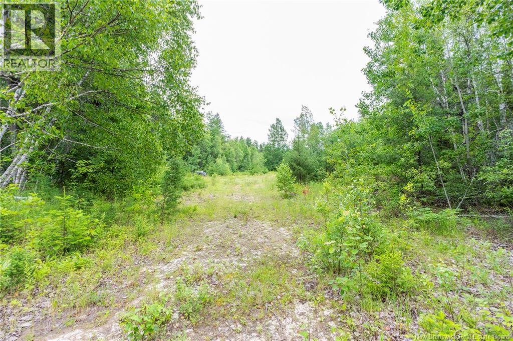 Lot 14-2 Niagara Road, Lower Coverdale, New Brunswick E1J 1H8 - Photo 14 - NB144191