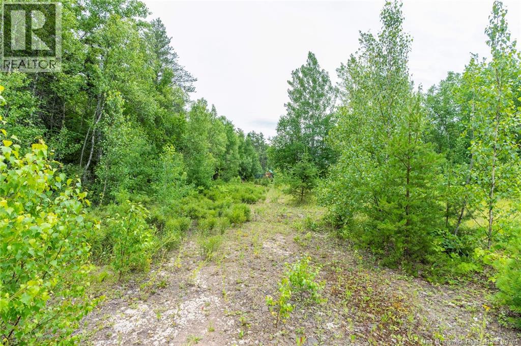 Lot 14-2 Niagara Road, Lower Coverdale, New Brunswick E1J 1H8 - Photo 18 - NB144191