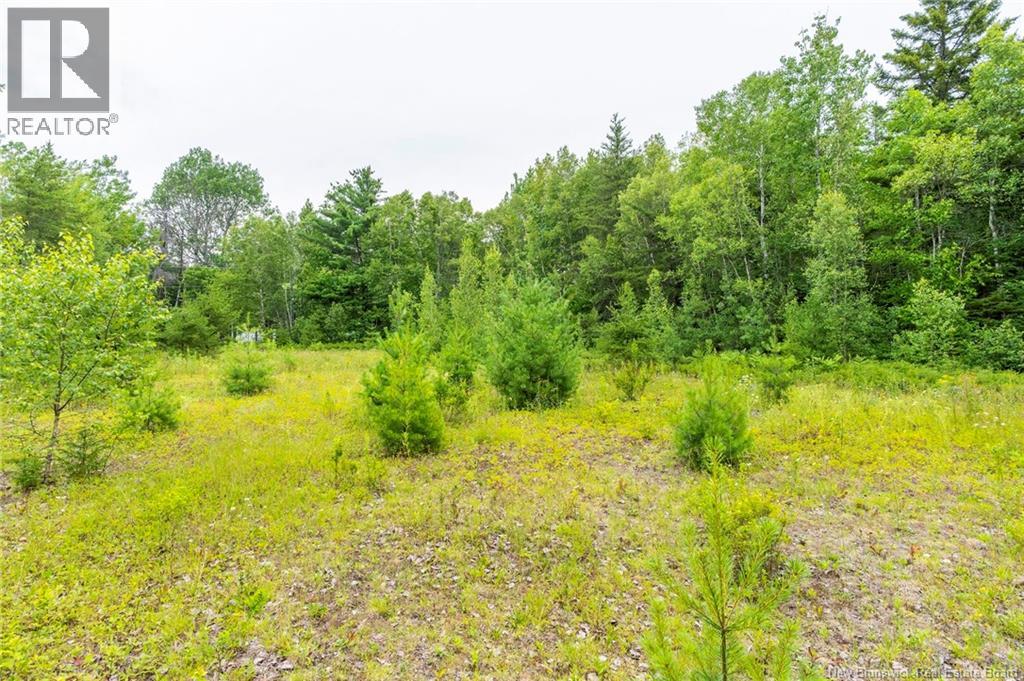Lot 14-2 Niagara Road, Lower Coverdale, New Brunswick E1J 1H8 - Photo 20 - NB144191