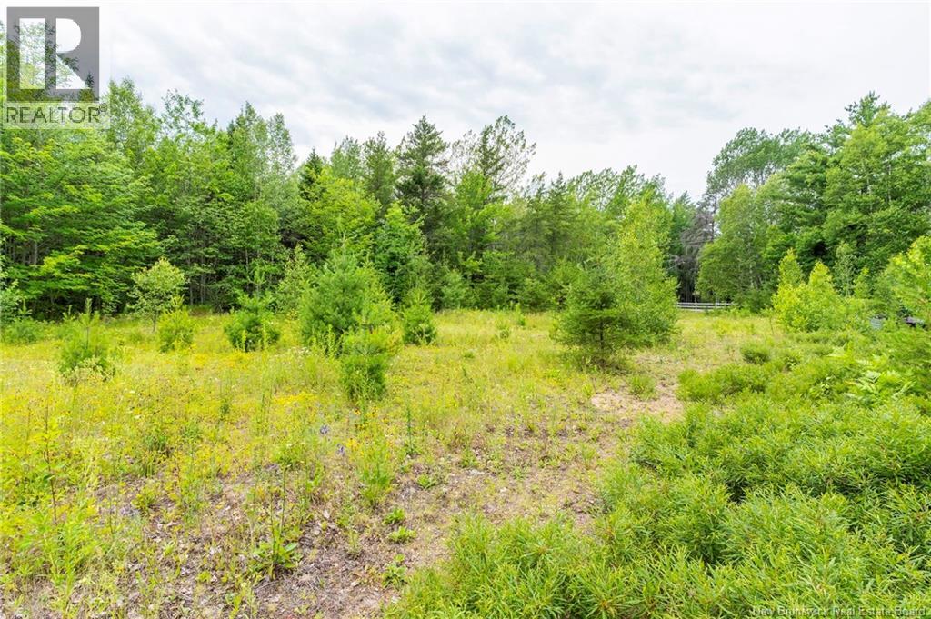 Lot 14-2 Niagara Road, Lower Coverdale, New Brunswick E1J 1H8 - Photo 19 - NB144191