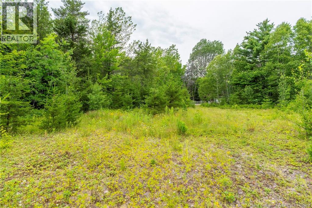 Lot 14-2 Niagara Road, Lower Coverdale, New Brunswick E1J 1H8 - Photo 21 - NB144191