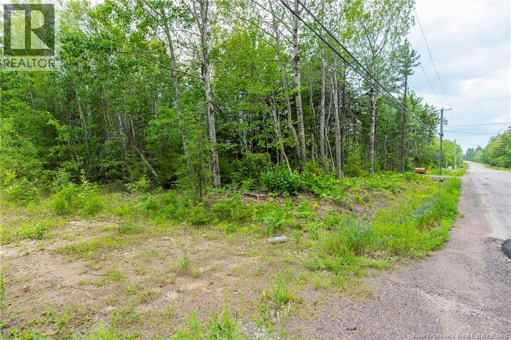 Lot 14-2 Niagara Road, Lower Coverdale, New Brunswick E1J 1H8 - Photo 23 - NB144191