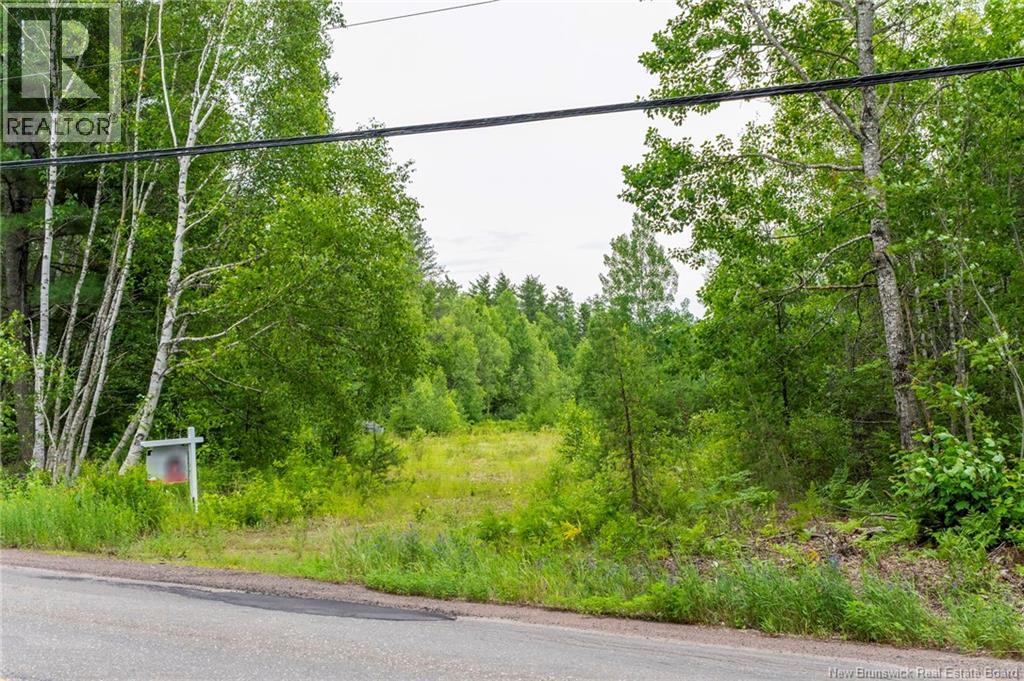 Lot 14-2 Niagara Road, Lower Coverdale, New Brunswick E1J 1H8 - Photo 25 - NB144191