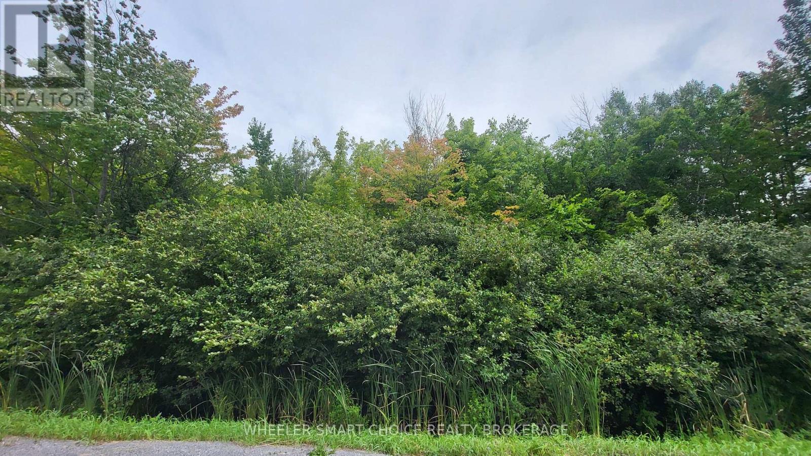 Lot 6 Tolmies Corners Road, North Stormont, Ontario  K0C 1V0 - Photo 2 - X13589076