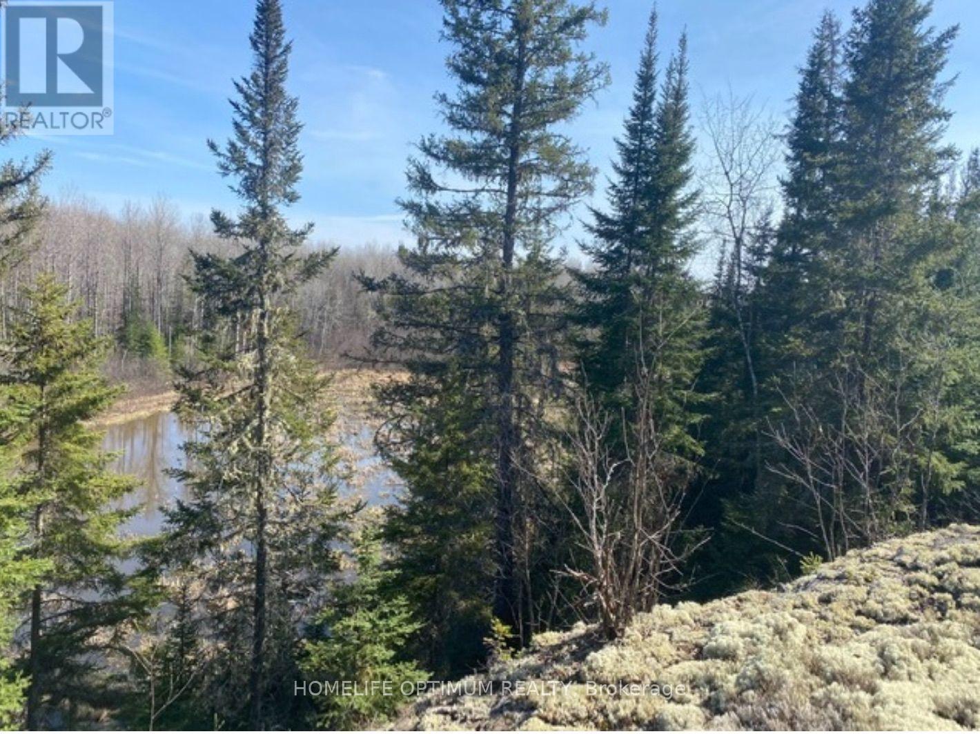Pcl 10742 Mcgarry, Timiskaming, Ontario P0K 1X0 - Photo 2 - T13589454