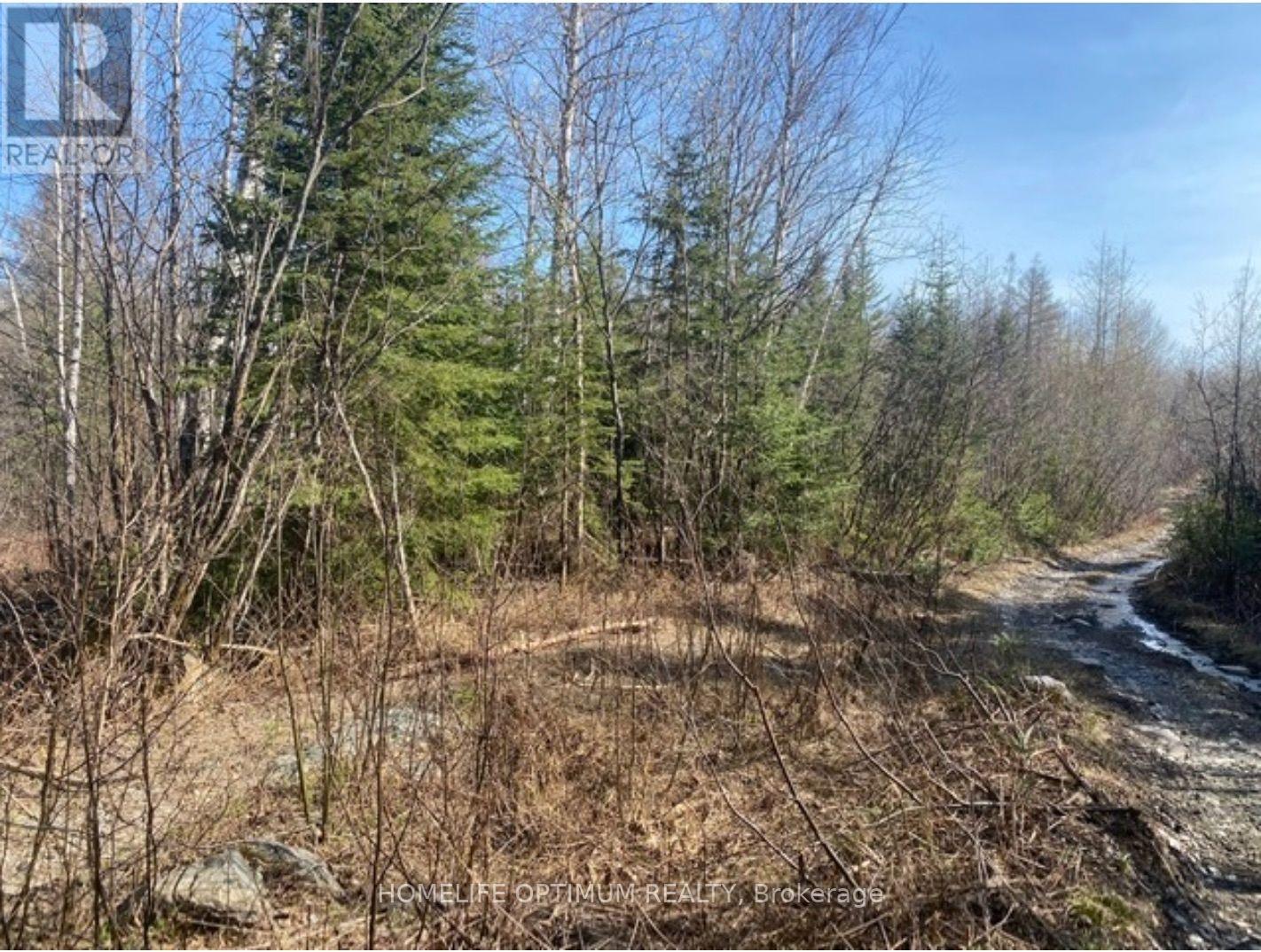Pcl 10742 Mcgarry, Timiskaming, Ontario P0K 1X0 - Photo 3 - T13589454