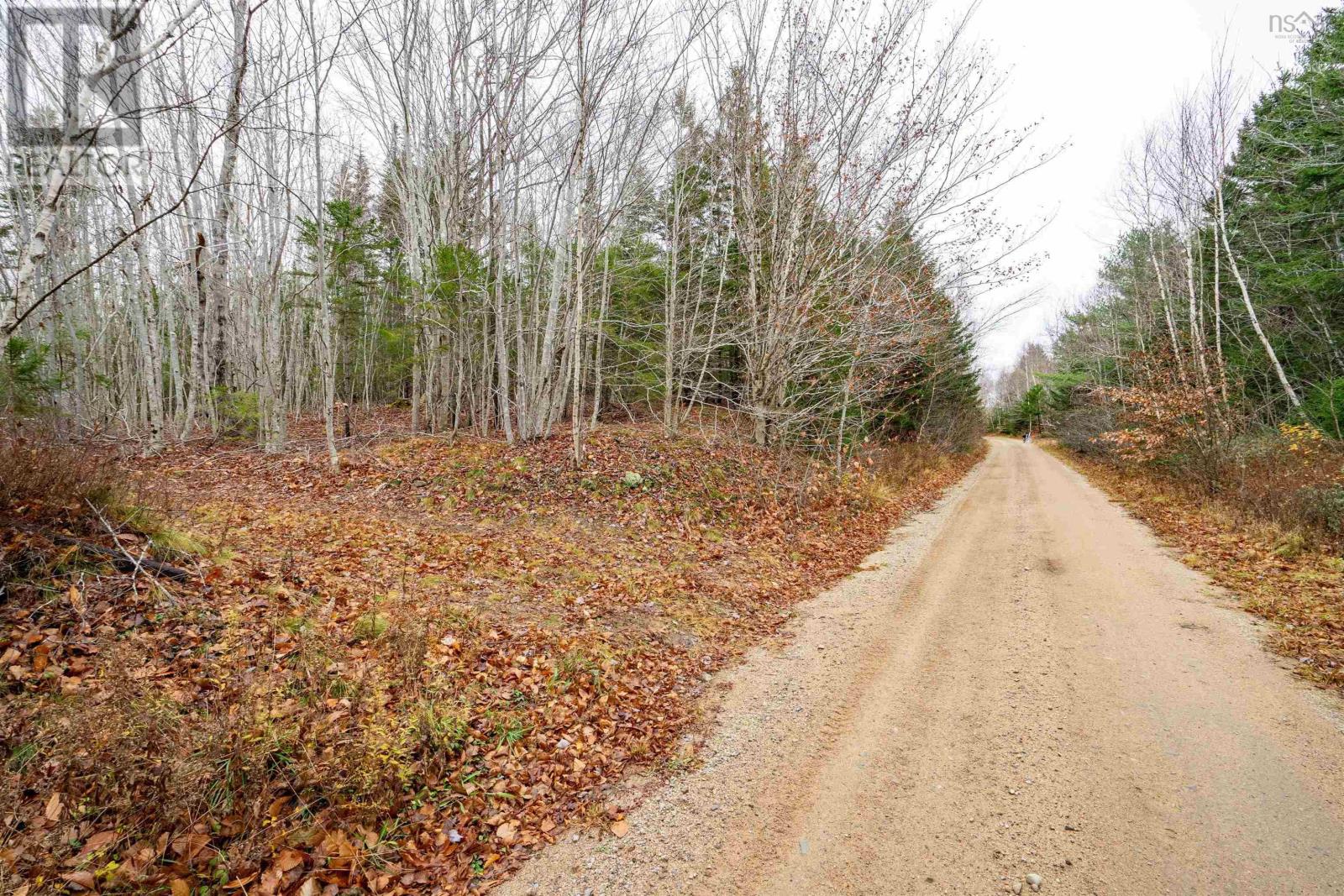 Old North Range Road, Ashmore, Nova Scotia  B0W 3T0 - Photo 4 - 202618223