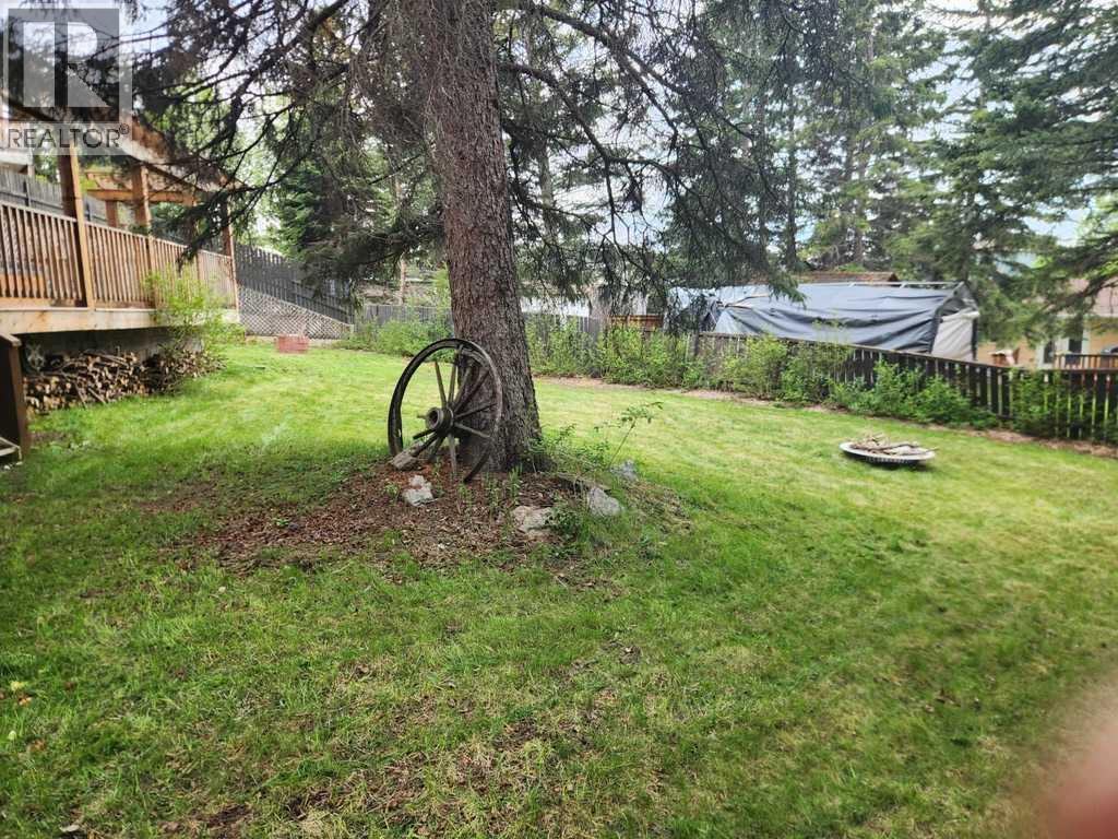 147 Seabolt Crescent, Hinton, Alberta  T7V 1K4 - Photo 29 - A2313417