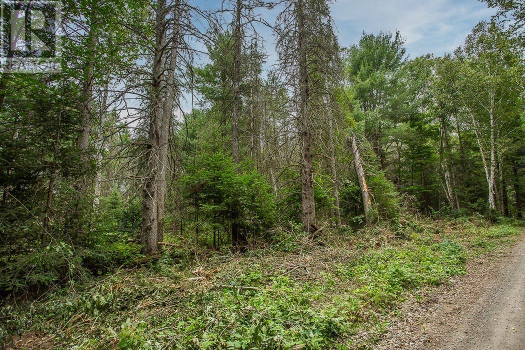 Rock Lake Road, Plummer Township, Bruce Mines, Ontario P0R 1C0 - Photo 15 - SM261919