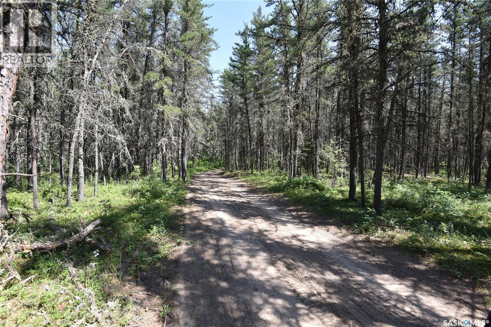 Macleod Acres, Torch River Rm No. 488, Saskatchewan  S0E 1E0 - Photo 45 - SK043144
