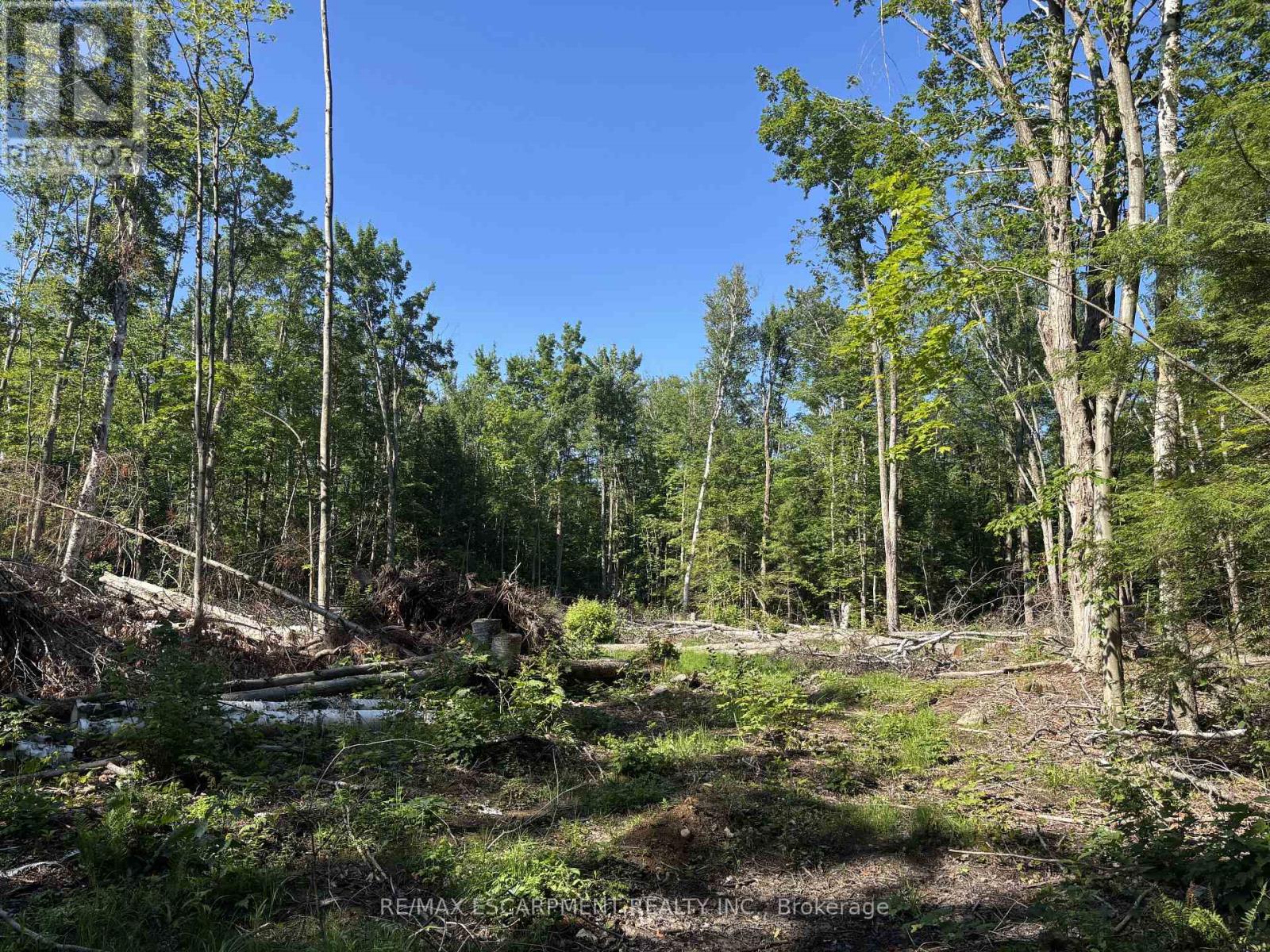 5822 Line 8 N, Oro-Medonte, Ontario  L0K 1N0 - Photo 14 - S13590192