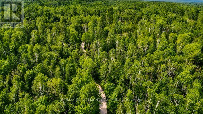 5822 Line 8 N, Oro-Medonte, Ontario  L0K 1N0 - Photo 7 - S13590192