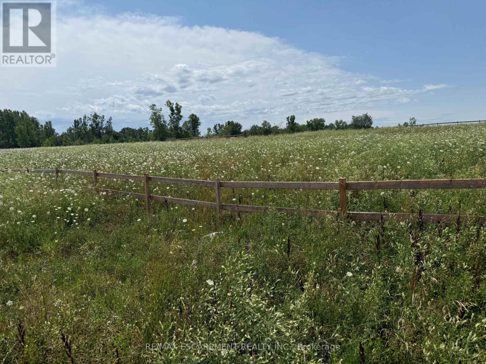 260 Colborne Street, Welland, Ontario  L3B 3M9 - Photo 2 - X13590226
