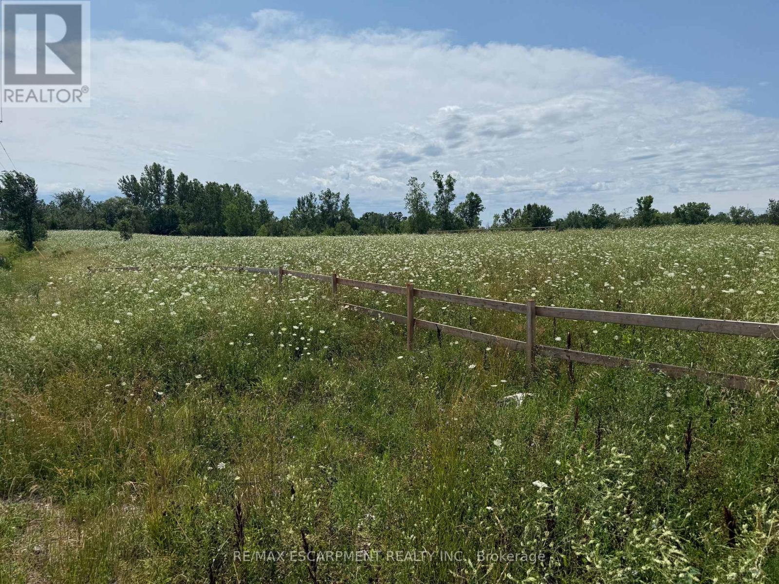 260 Colborne Street, Welland, Ontario  L3B 3M9 - Photo 7 - X13590226