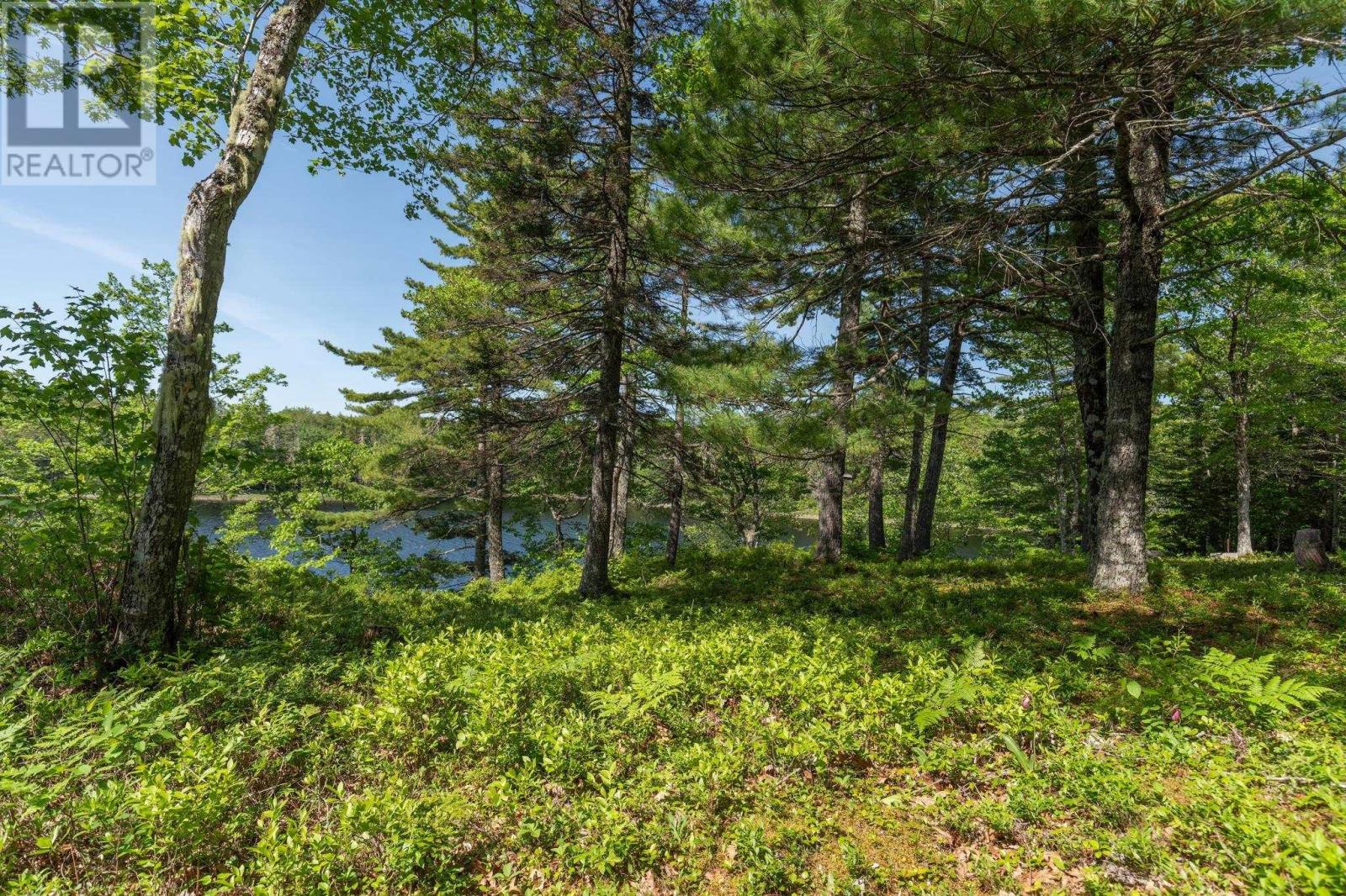 799 Coldstream Road, East Quinan, Nova Scotia  B0W 3M0 - Photo 26 - 202614274