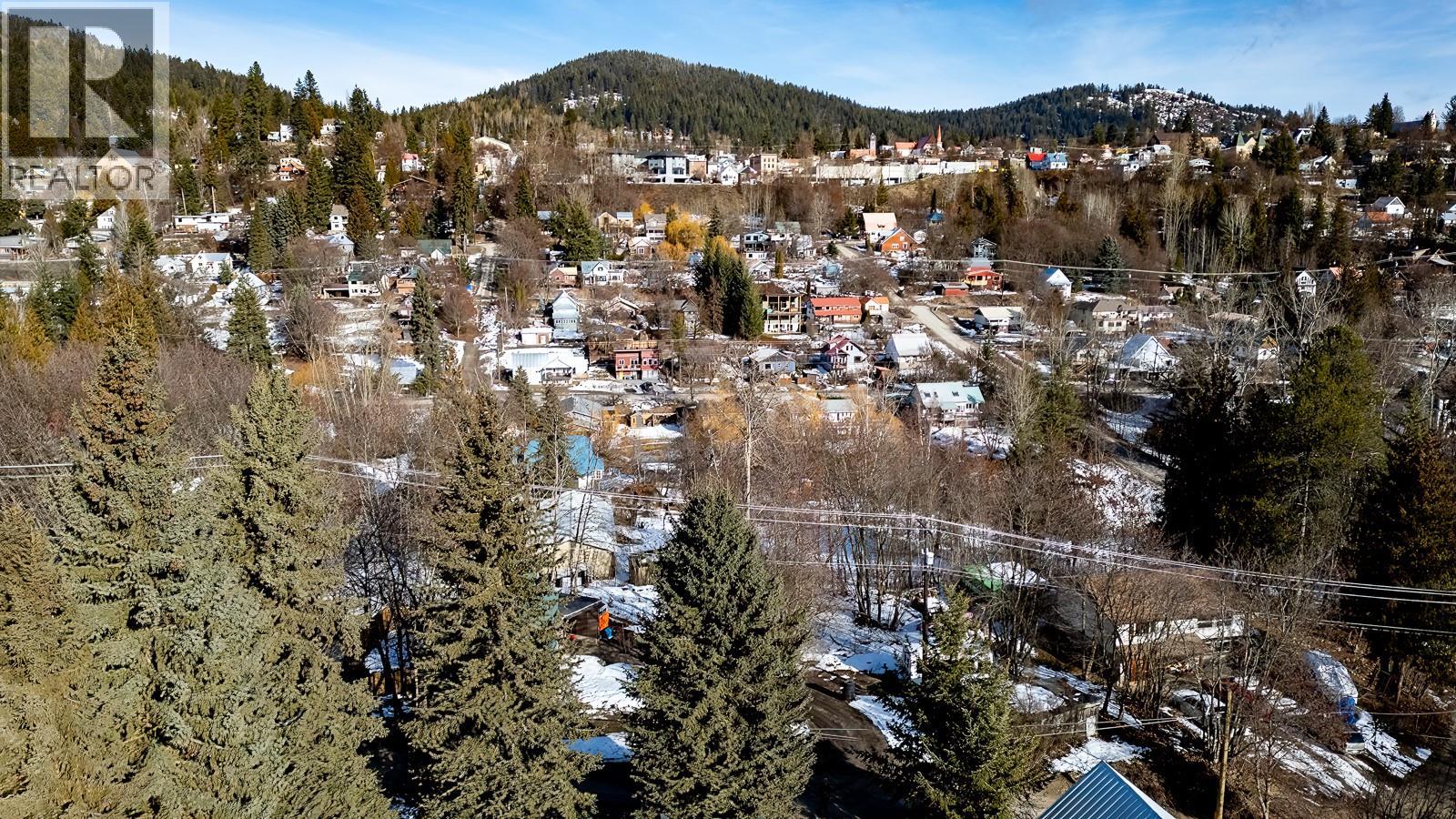 1920 Union Avenue, Rossland, British Columbia  V0G 1Y0 - Photo 9 - 10375978
