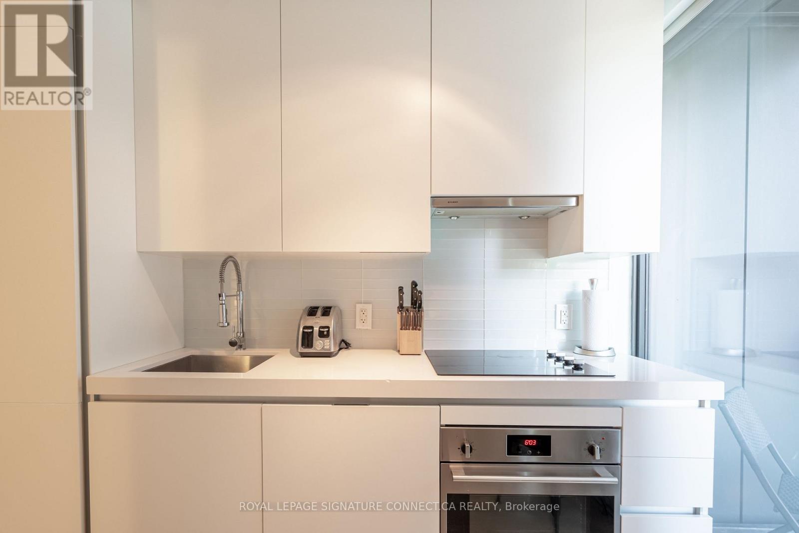409 - 38 Stewart Street, Toronto, Ontario  M5V 0H1 - Photo 3 - C13590448