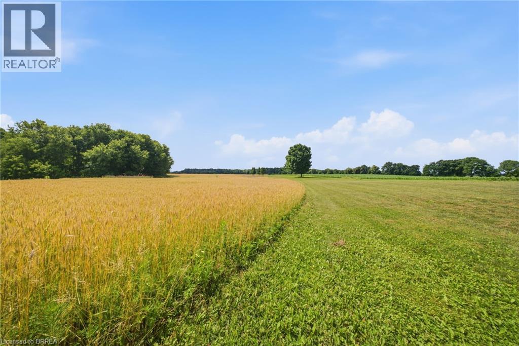 392 GERMAN SCHOOL Road - Photo 43
