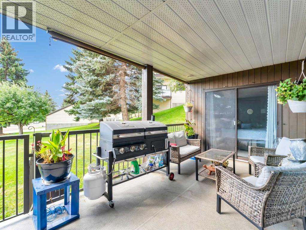 1, 1165 16 Street Ne, Medicine Hat, Alberta  T1C 1P7 - Photo 5 - A2298193