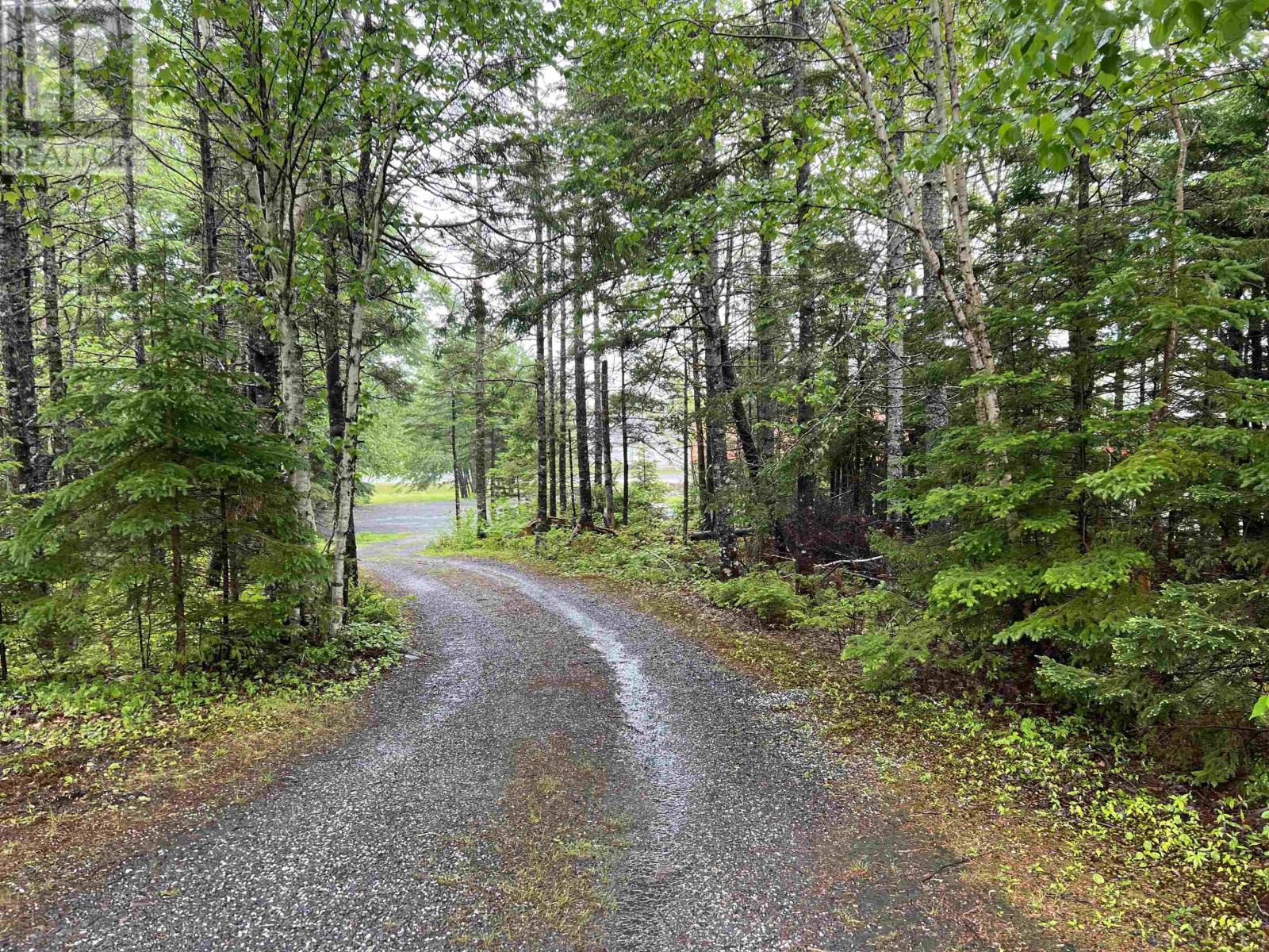 7975 Highway 7 Highway, Sherbrooke, Nova Scotia  B0E 3C0 - Photo 39 - 202618248