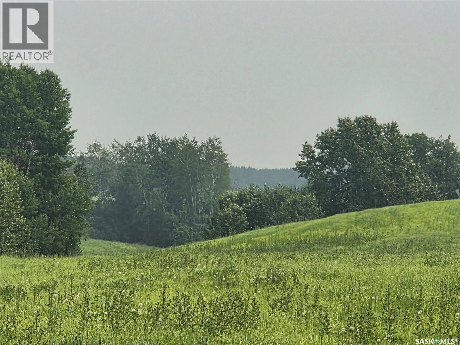 Small Quarter, Bjorkdale Rm No. 426, Saskatchewan  S0E 1B0 - Photo 14 - SK043252