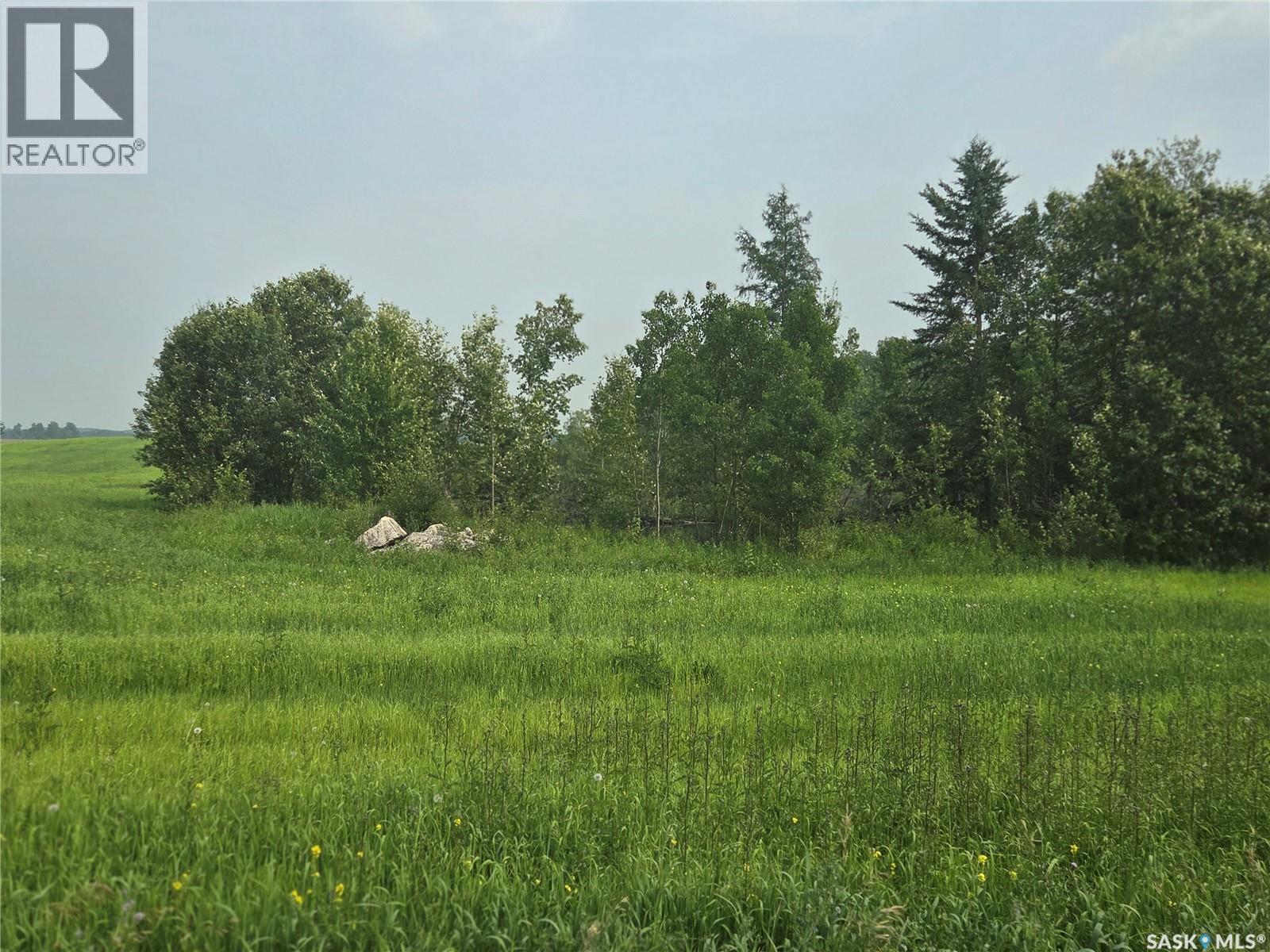 Small Quarter, Bjorkdale Rm No. 426, Saskatchewan  S0E 1B0 - Photo 8 - SK043252