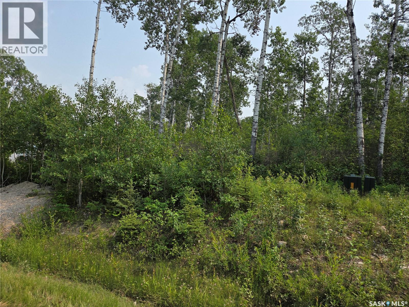 5 Smits AVENUE, codette, Saskatchewan